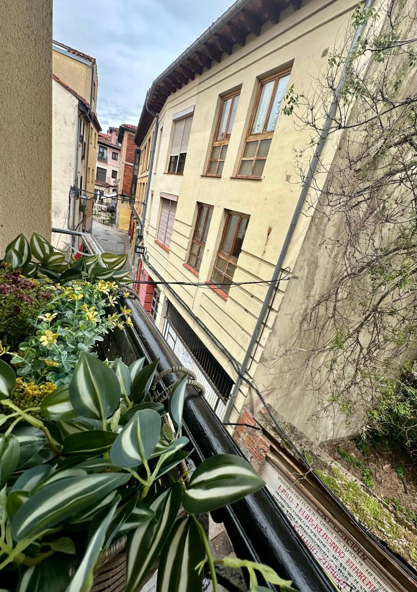 Apartment Barrio Humedo León
